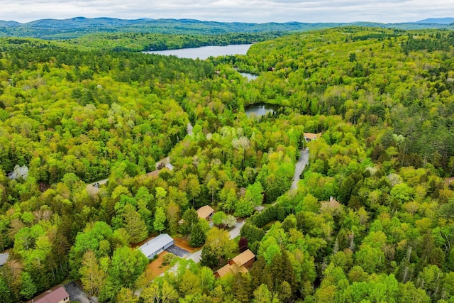 8 Mill Pond Rd, Grantham, NH 03753 - bird's eye view of a heavily wooded area and a water and mountain view