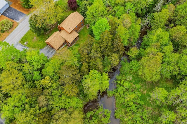 8 Mill Pond Rd, Grantham, NH 03753 - bird's eye view
