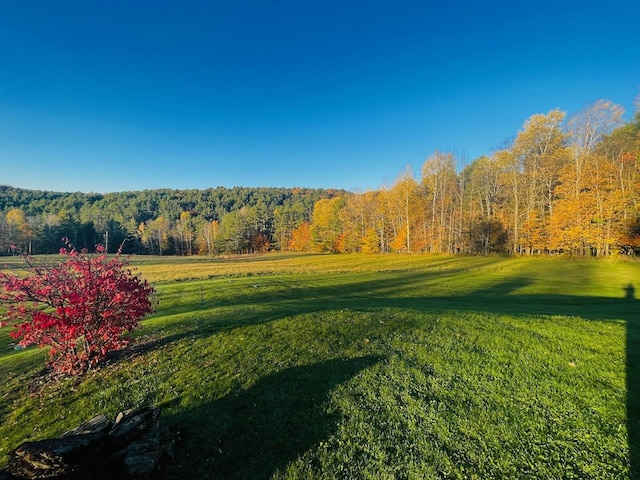 88 Kibling Hill Rd, Tunbridge, VT 05077 - view of grassy yard featuring a wooded view
