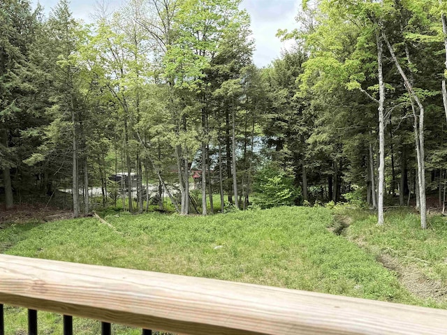 62 Highland Vws N, Ludlow, VT 05149 - view of yard featuring a forest view