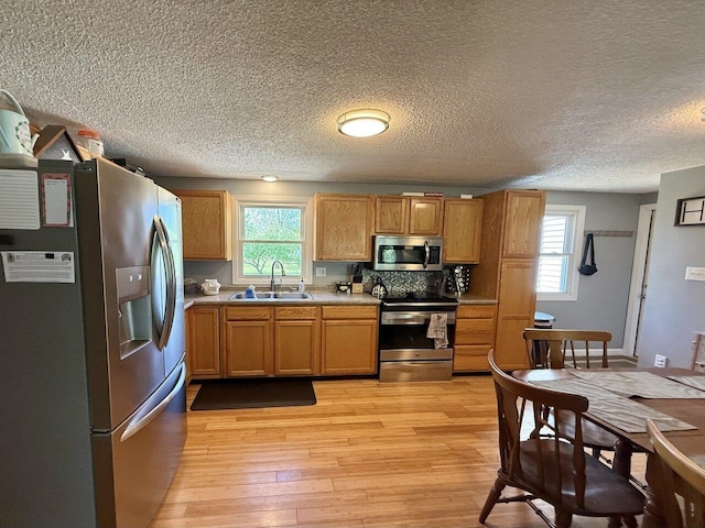 50 New Haven Rd, Vergennes, VT 05491 - kitchen featuring stainless steel appliances, a sink, light wood-style floors, light countertops, and a textured ceiling