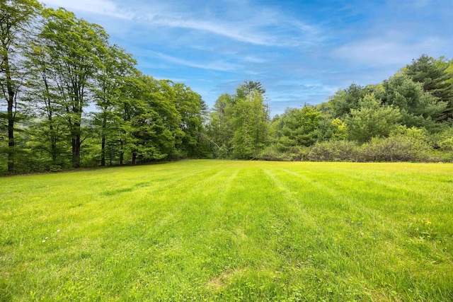 10 Wiswall Hill Rd, Newfane, VT 05345 - view of grassy yard featuring a wooded view