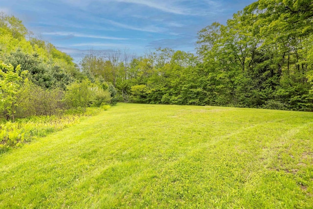 10 Wiswall Hill Rd, Newfane, VT 05345 - view of green lawn with a forest view