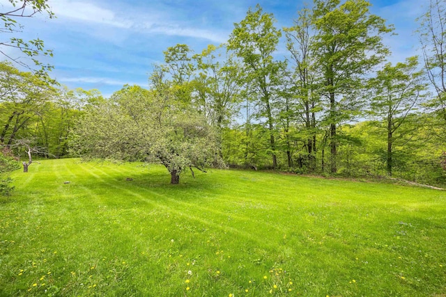 10 Wiswall Hill Rd, Newfane, VT 05345 - view of grassy yard