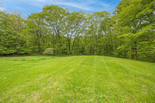 10 Wiswall Hill Rd, Newfane, VT 05345 - view of green lawn