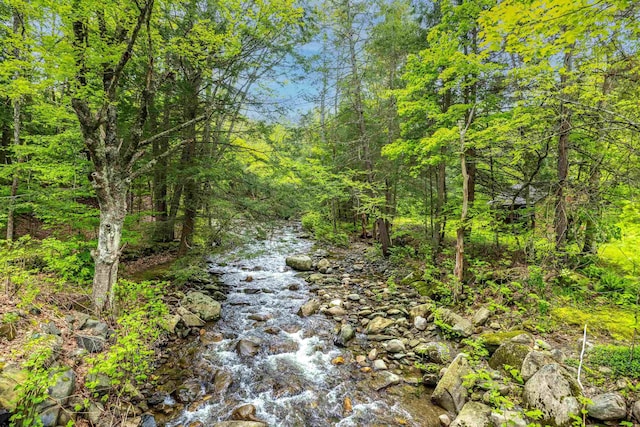 10 Wiswall Hill Rd, Newfane, VT 05345 - view of wooded area