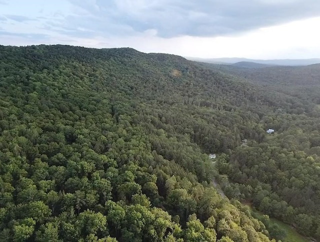 10 Wiswall Hill Rd, Newfane, VT 05345 - mountain view with a heavily wooded area