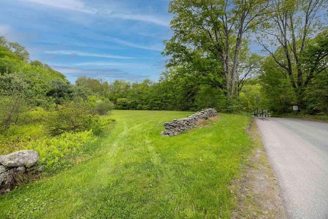 10 Wiswall Hill Rd, Newfane, VT 05345 - view of road featuring a view of trees