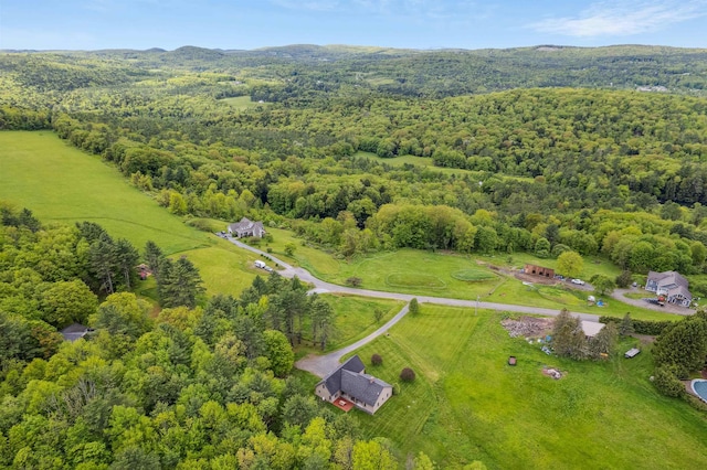 222 Park View Rd, Springfield, VT 05156 - bird's eye view of a heavily wooded area