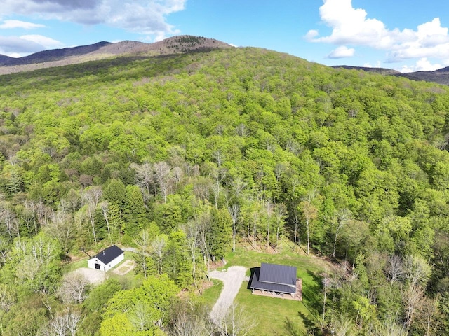 1585 Amidon Rd Unit 1, 2, 3, Montgomery, VT 05471 - aerial view of property and surrounding area with a forest and a mountain backdrop
