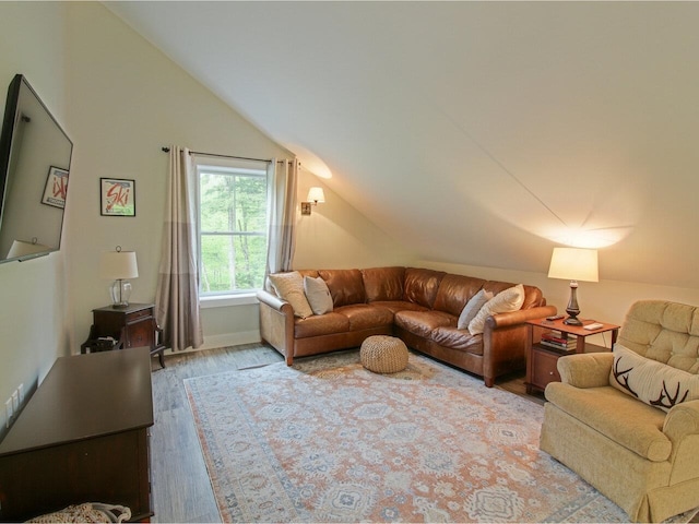 1585 Amidon Rd Unit 1, 2, 3, Montgomery, VT 05471 - living area with vaulted ceiling, wood finished floors, and baseboards