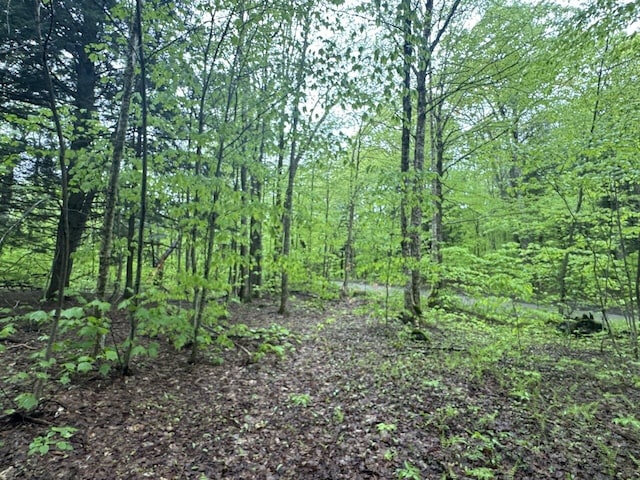 1585 Amidon Rd Unit 1, 2, 3, Montgomery, VT 05471 - view of wooded area