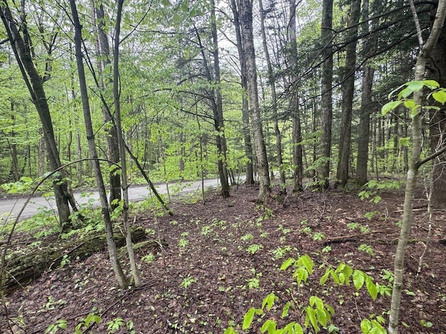 1585 Amidon Rd Unit 1, 2, 3, Montgomery, VT 05471 - view of tree filled area