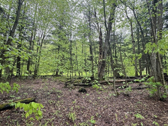 1585 Amidon Rd Unit 1, 2, 3, Montgomery, VT 05471 - view of wooded area