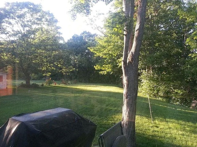 22 Chestnut St, Claremont, NH 03743 - view of grassy yard