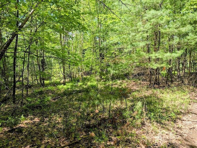LOT101 Wildwood Rd, Haverhill, NH 03785