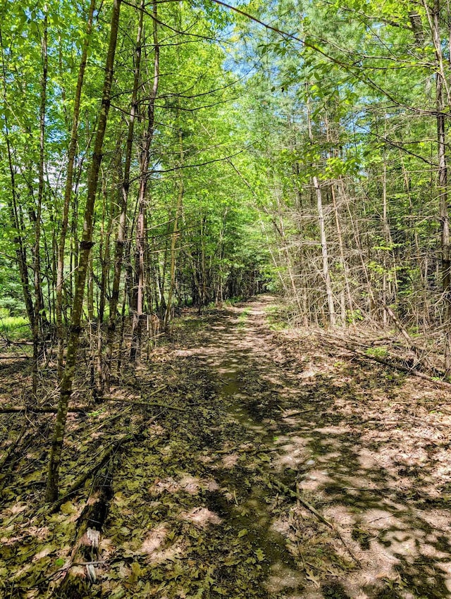 LOT101 Wildwood Rd, Haverhill, NH 03785