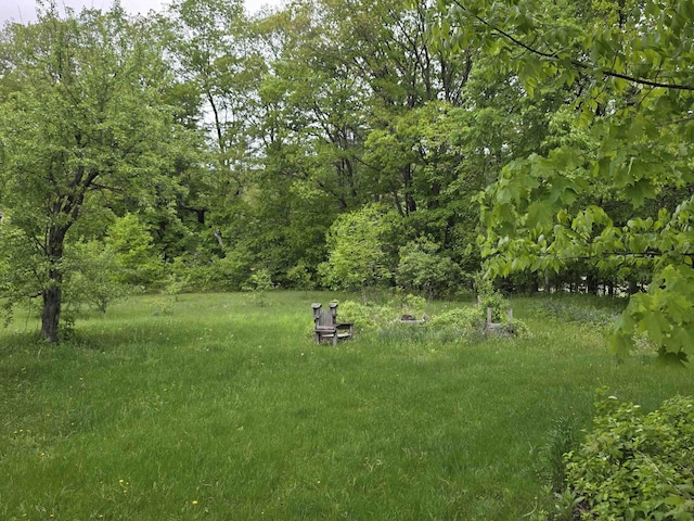 3458 Vt Route 30, Jamaica, VT 05343 - view of yard featuring a view of trees