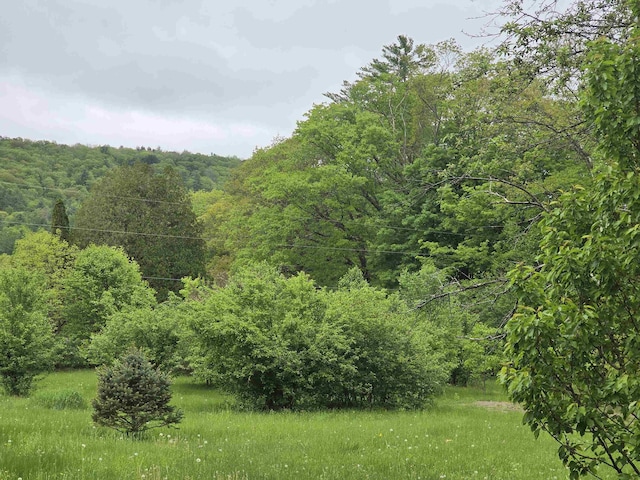 3458 Vt Route 30, Jamaica, VT 05343 - view of woods