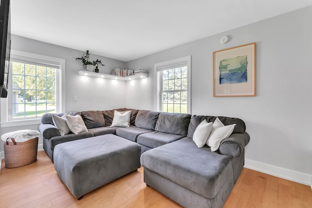 9 Conifer Ct, Burlington, VT 05401 - living room featuring healthy amount of natural light, baseboards, and light wood-type flooring