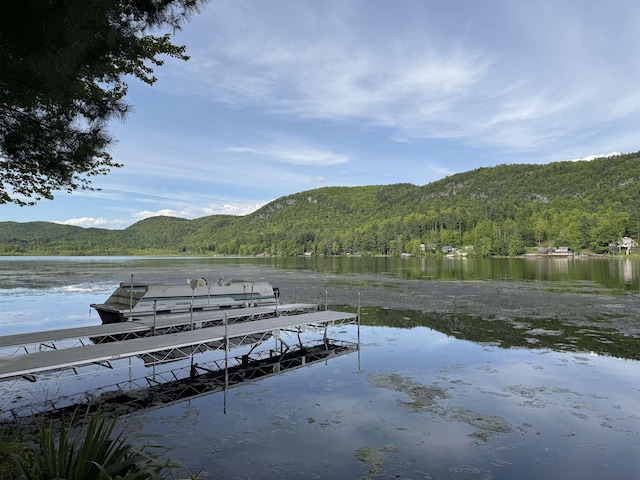 782 N St, Wells, VT 05774