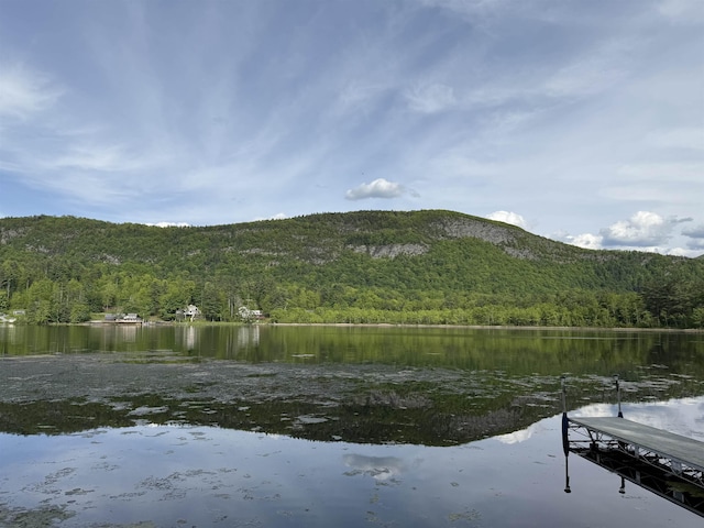 782 N St, Wells, VT 05774