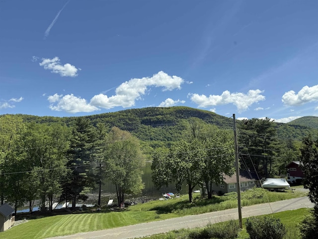 782 N St, Wells, VT 05774