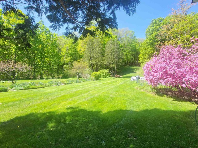 105 Westminster Rd, Putney, VT 05346