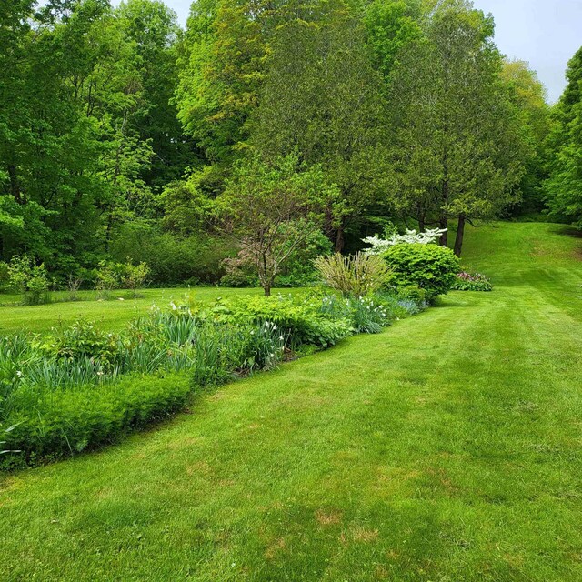 105 Westminster Rd, Putney, VT 05346