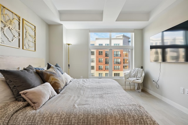 18 Artisan Dr Unit 419, Salem, NH 03079 - bedroom with light wood-type flooring and baseboards