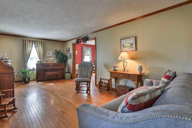 3 Elijah Hill Ln, Londonderry, NH 03053 - living room with hardwood / wood-style flooring, crown molding, and a textured ceiling