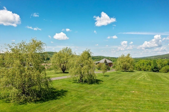 300 River Rd, Enosburg, VT 05450 - surrounding community with a yard