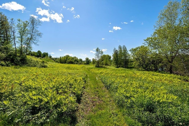 300 River Rd, Enosburg, VT 05450 - view of local wilderness with rural landscape