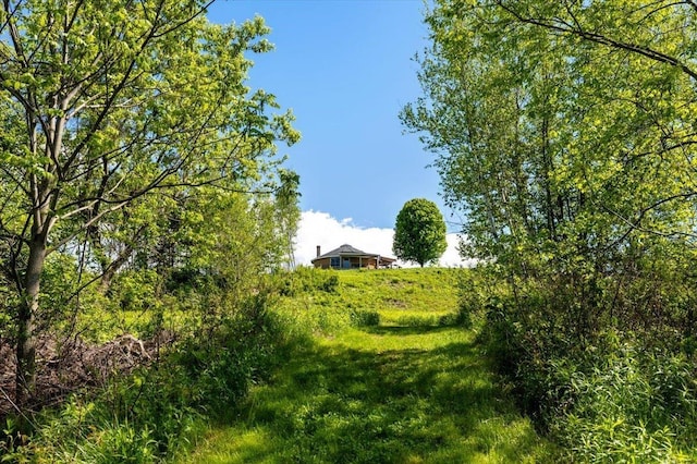 300 River Rd, Enosburg, VT 05450 - view of local wilderness