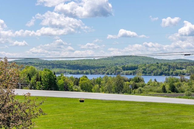 2147 Vt Route 111, Derby, VT 05829 - water view with a forest