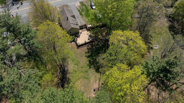 4 Palmer Ave, Plaistow, NH 03865 - view of subject property