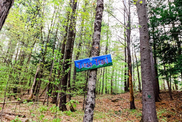 107 Artist Falls Rd, Conway, NH 03860 - exterior view of a forest