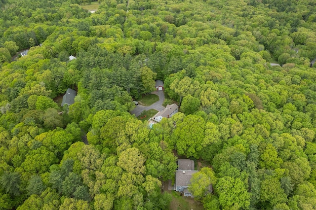 11 Sledding Hill Ln, Lee, NH 03861 - view of property location with a heavily wooded area
