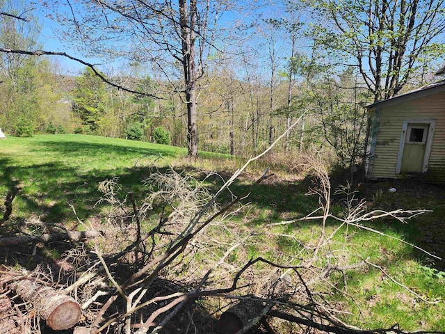 1428 Monroe Rd, Littleton, NH 03561 - view of grassy yard with a forest view