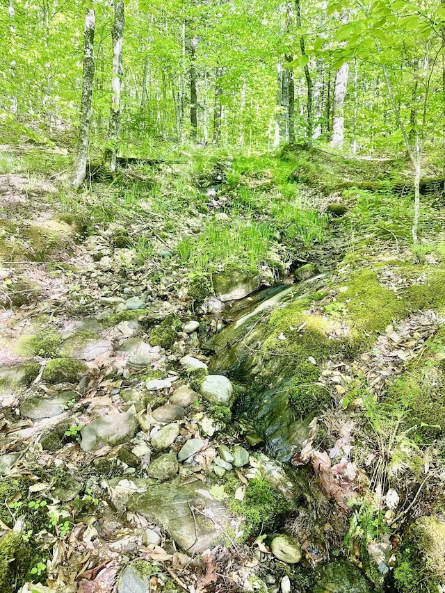 3342 E Hill Rd, Wolcott, VT 05680 - view of nature