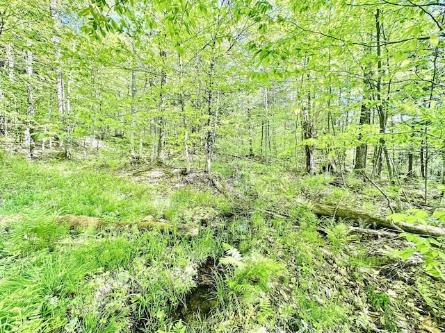 3342 E Hill Rd, Wolcott, VT 05680 - view of nature
