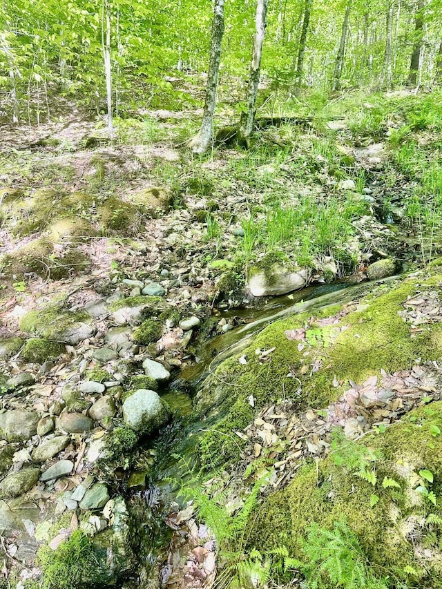 3342 E Hill Rd, Wolcott, VT 05680 - view of undeveloped land