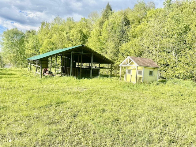 3342 E Hill Rd, Wolcott, VT 05680 - view of yard with an outbuilding and a forest view