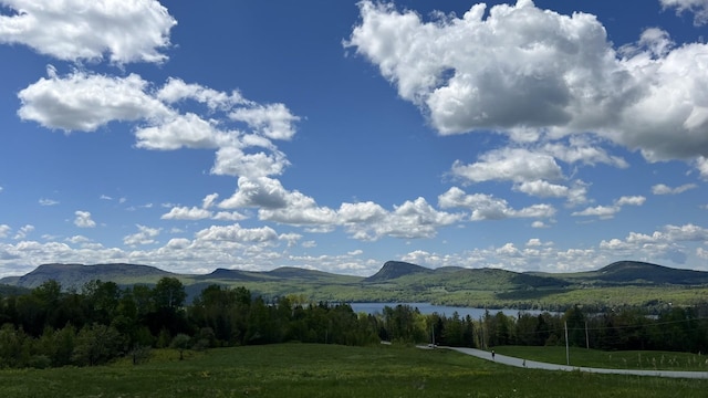 750 Hinton Hill Rd, Westmore, VT 05860