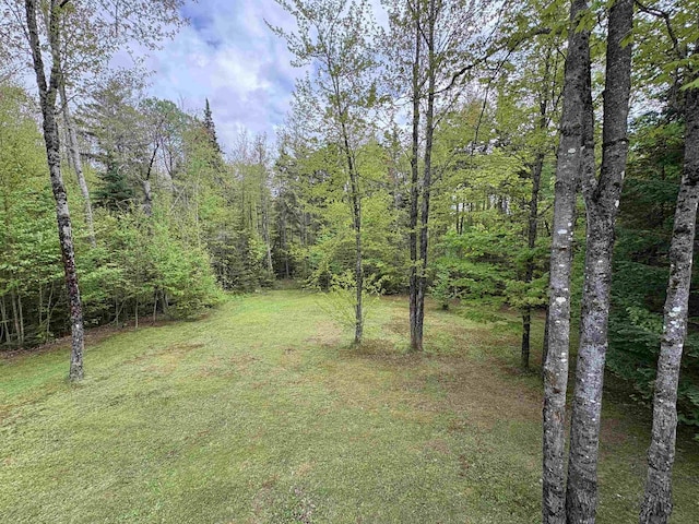 10 Youngs Rd, East Haven, VT 05837 - view of grassy yard with a view of trees