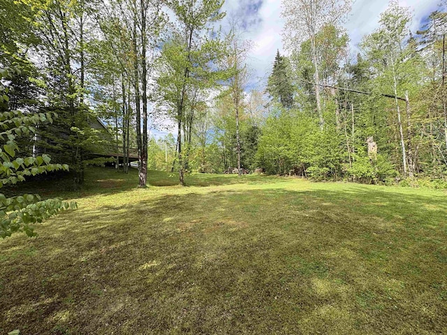 10 Youngs Rd, East Haven, VT 05837 - view of grassy yard