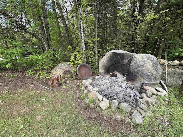 10 Youngs Rd, East Haven, VT 05837 - exterior view of a heavily wooded area