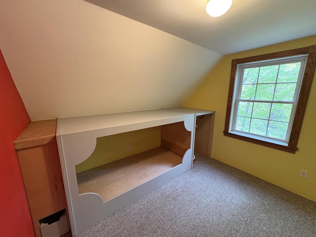10 Youngs Rd, East Haven, VT 05837 - additional living space with lofted ceiling and carpet flooring