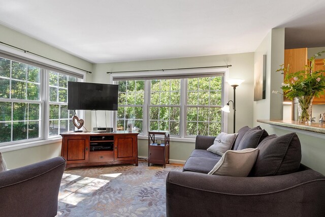 19 Steeple Chase Dr, Hampstead, NH 03841 - living area with baseboards