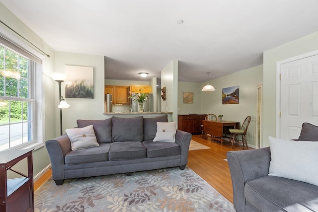 19 Steeple Chase Dr, Hampstead, NH 03841 - living room featuring light wood-style floors and plenty of natural light